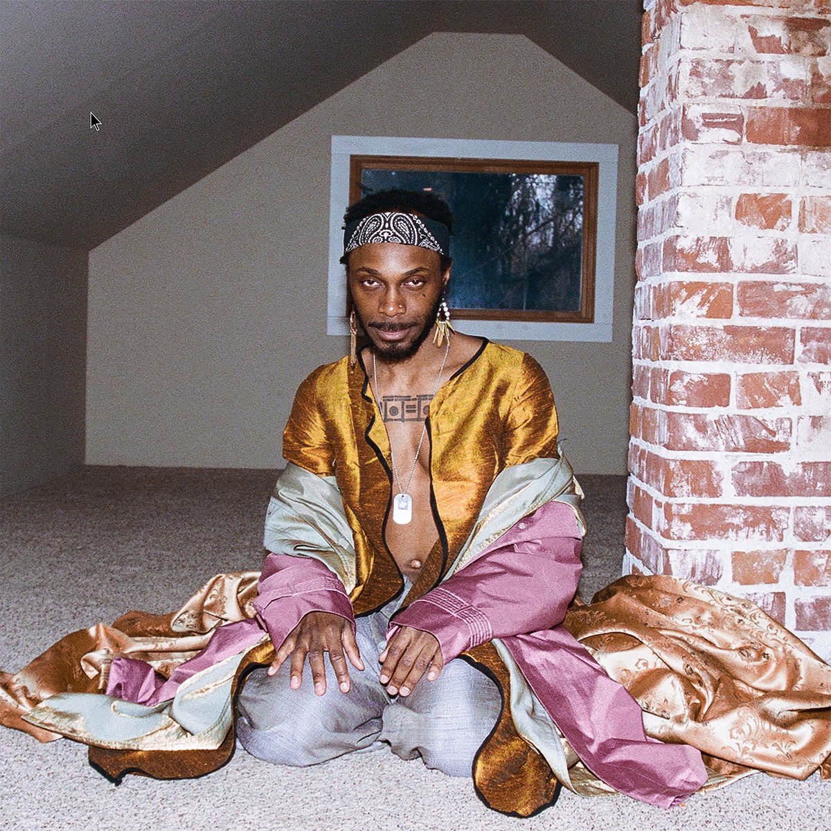 jpegmafia air force